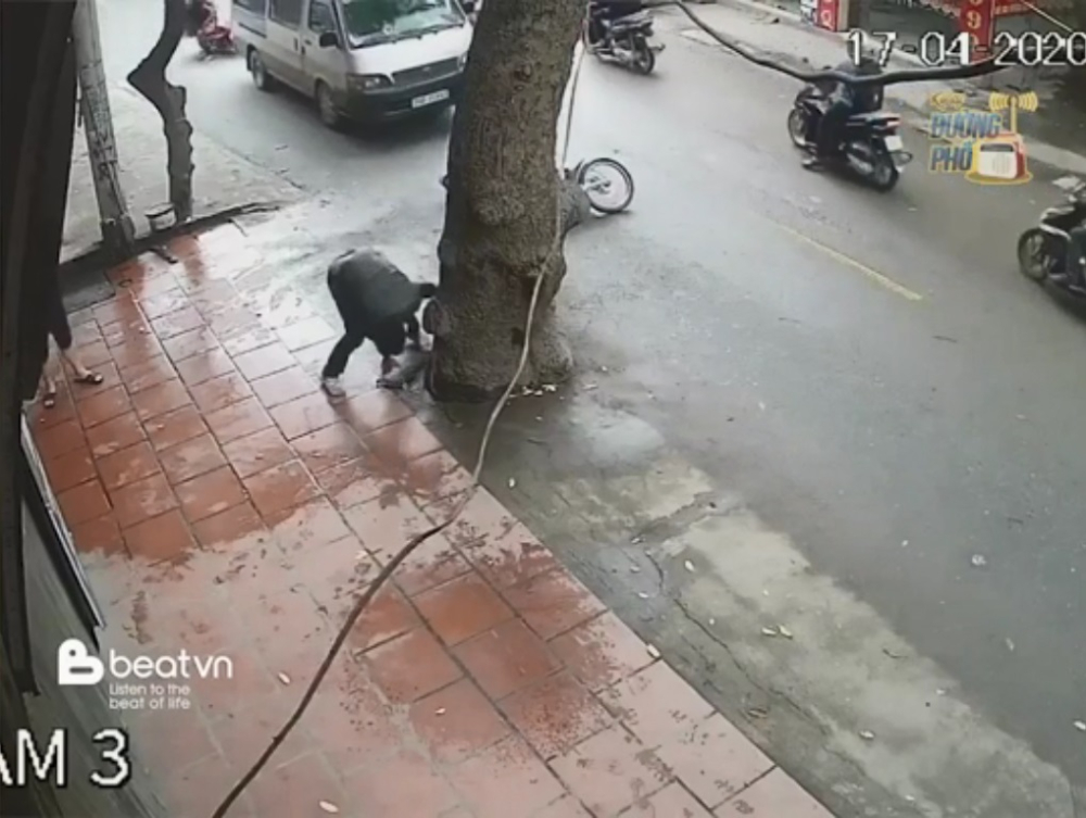 Thanh ni&ecirc;n ngồi ph&iacute;a sau lao về trước v&agrave; su&yacute;t đập đầu v&agrave;o gốc c&acirc;y b&ecirc;n đường. Người n&agrave;y kh&ocirc;ng đội mũ bảo hiểm
