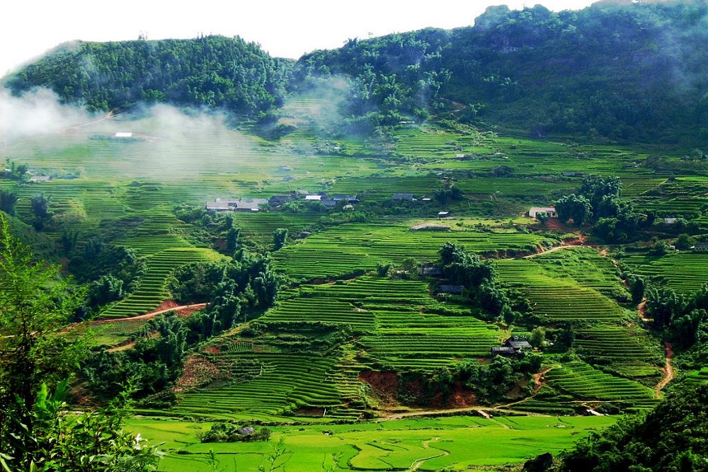 Sơn La có nhiều điểm du lịch nổi tiếng như Mộc Châu, đỉnh Pha Luông, thiên đường săn mây Tà Xùa... Sơn La có nhiều điểm du lịch nổi tiếng như Mộc Châu, đỉnh Pha Luông, thiên đường săn mây Tà Xùa...