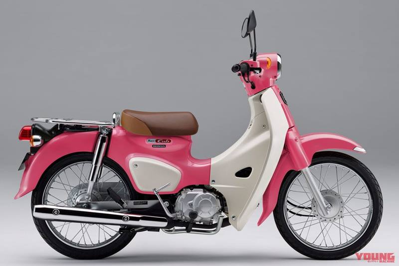 Honda Super Cub C125 có mức giá khá cao tại Việt Nam