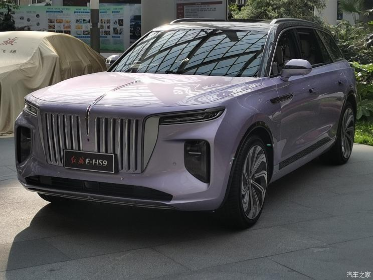 Hồng Kỳ E-HS9 màu tím