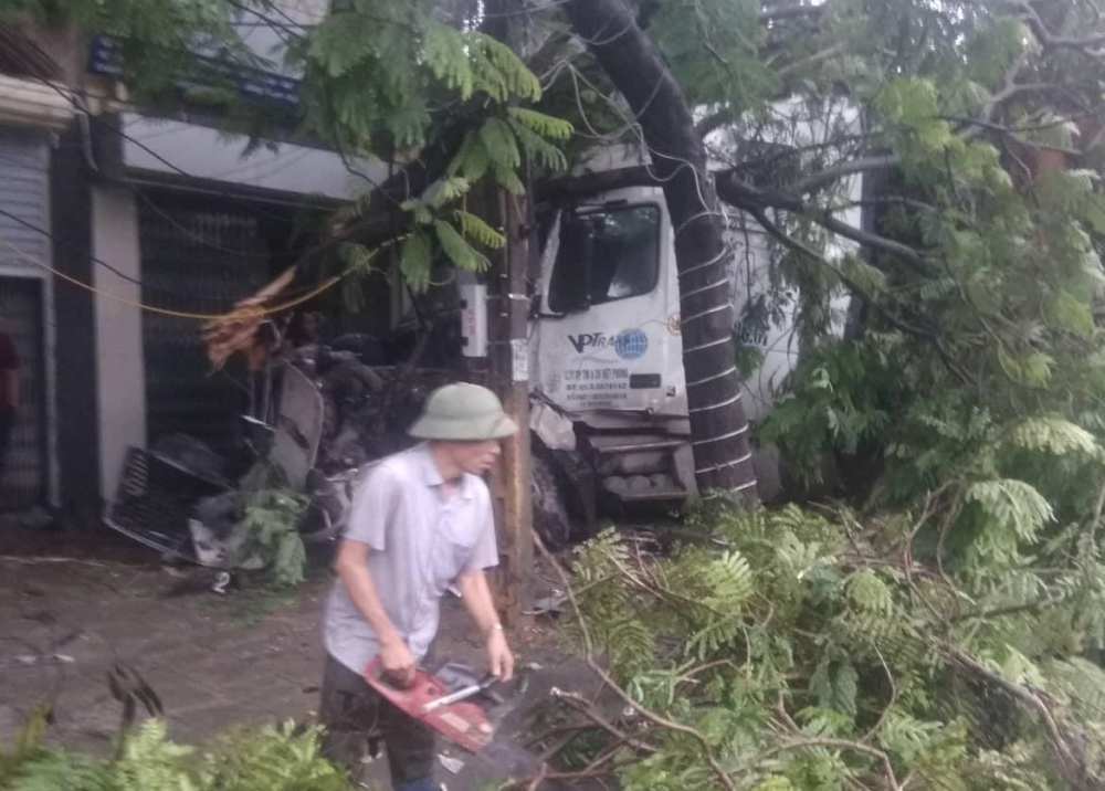 Một số cành cây xanh hư hỏng sau khi bị xe container tông vào Một số cành cây xanh hư hỏng sau khi bị xe container tông vào