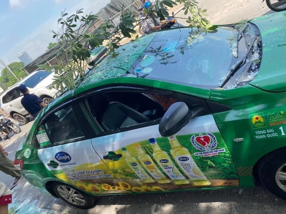 Chiếc taxi Mai Linh đang chạy trên đường Kim Mã thì bị cành cây và khung cửa kính rơi trúng Chiếc taxi Mai Linh đang chạy trên đường Kim Mã thì bị cành cây và khung cửa kính rơi trúng