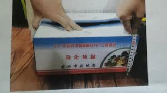 Thùng carton đựng đồ mà bà Sử đã nhặt về nhà Thùng carton đựng đồ mà bà Sử đã nhặt về nhà