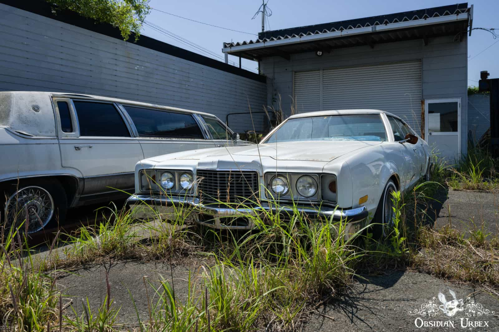 Cặp đôi Cadillac Fleetwood Brougham và Cadillac Connessieur Cặp đôi Cadillac Fleetwood Brougham và Cadillac Connessieur