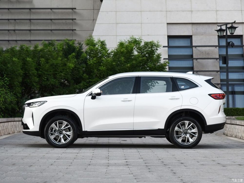 Góc nhìn bên sườn cho thấy Haval H6 1.5T Supreme mang bộ la-zăng họa tiết lạ mắt