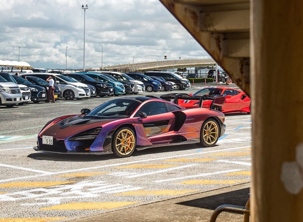 V&agrave; toả s&aacute;ng khi được chủ nh&acirc;n cho đi tắm nắng