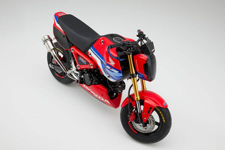 Những mẫu xe thuộc phi&ecirc;n bản n&agrave;y sẽ sớm c&oacute; mặt tr&ecirc;n c&aacute;c trường đua của Honda