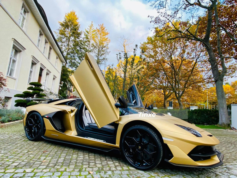 Kh&aacute;c với si&ecirc;u xe Ferrari 488 GTB độ Misha Designs hay Mercedes-AMG GT S Edition One được doanh nh&acirc;n n&agrave;y cho ra biển trắng của Việt Nam, chiếc Lamborghini Aventador SVJ Roadster sẽ ở lại Đức