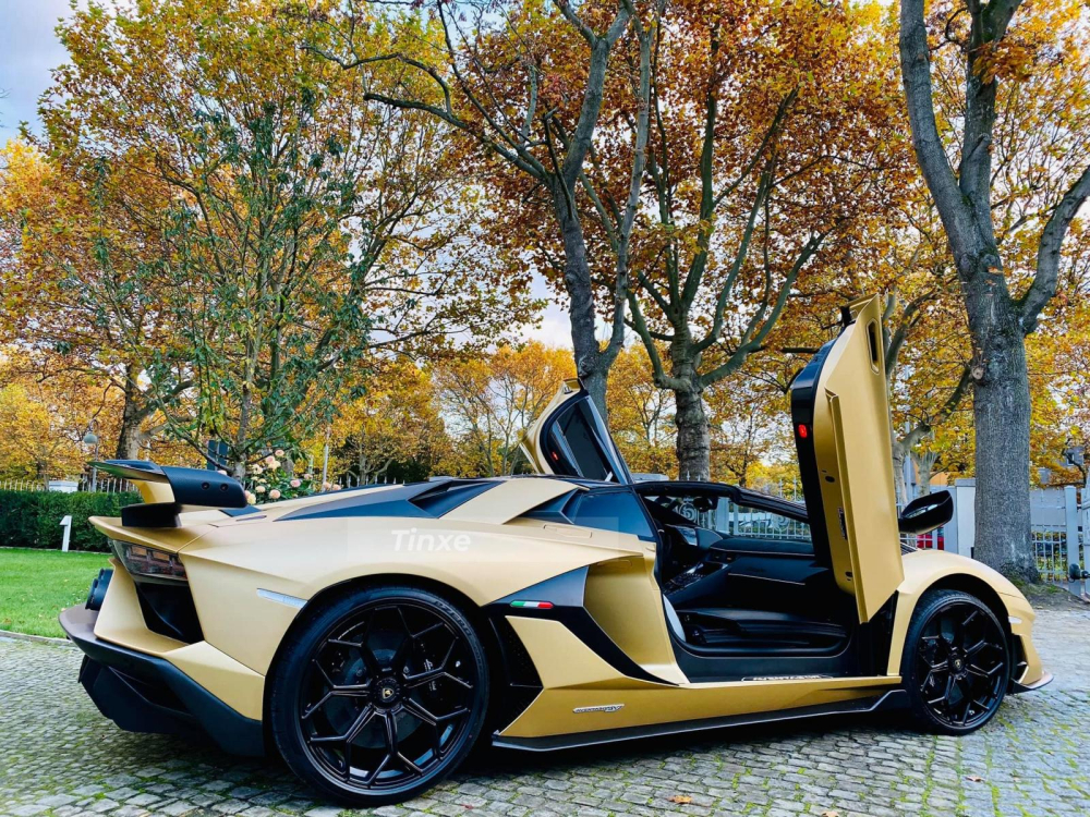 Doanh nh&acirc;n Việt tậu chiếc si&ecirc;u xe mui trần Lamborghini Aventador SVJ Roadster bản giới hạn 800 chiếc