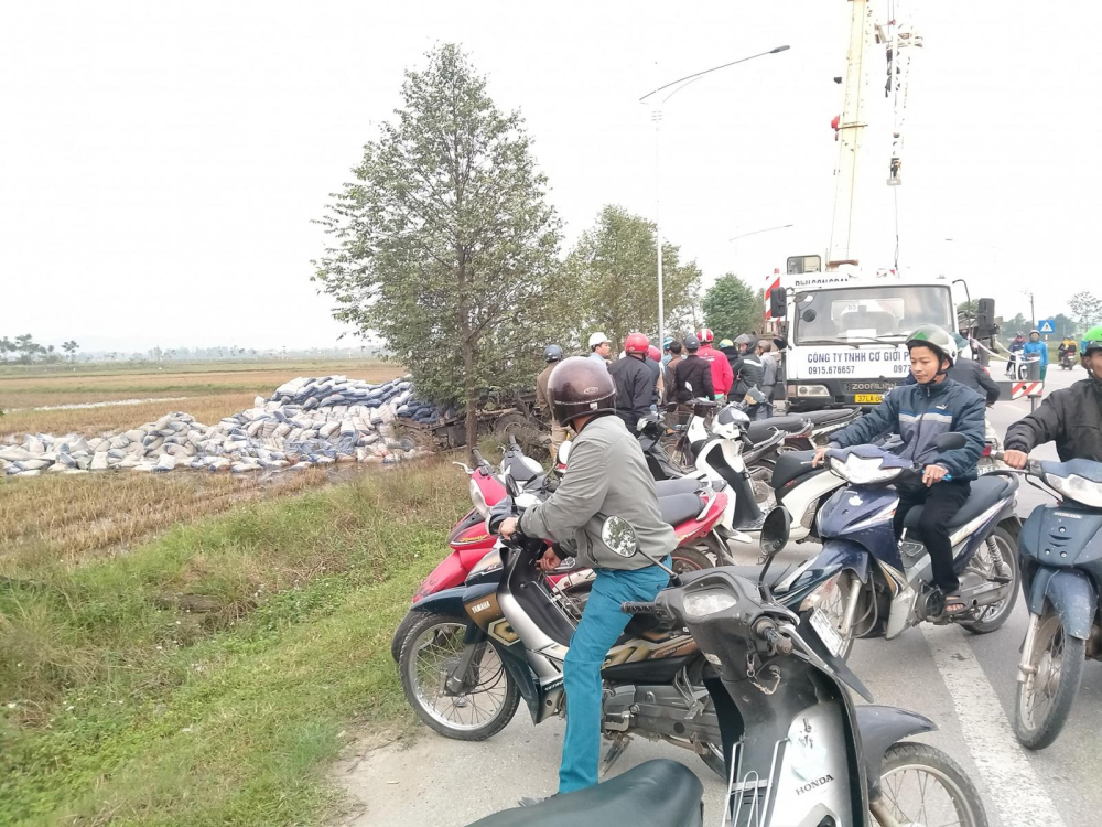 Những bao xi-măng nằm la liệt tr&ecirc;n ruộng l&uacute;a