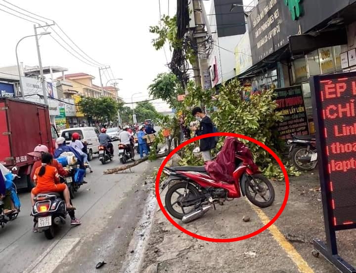 Một chiếc xe máy hư hỏng nằm cách xe gây tai nạn khoảng 10 mét Một chiếc xe máy hư hỏng nằm cách xe gây tai nạn khoảng 10 mét