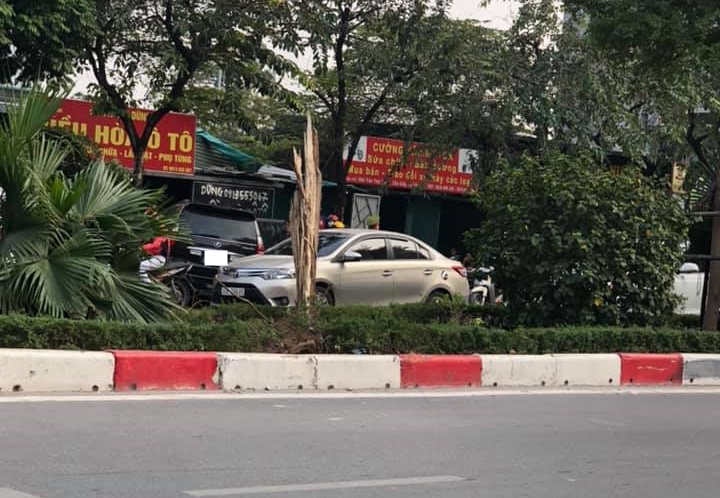 Chiếc xe Lexus GX470 từ bên đây đường tông vào dải phân cách, đâm gãy một cây xanh trước khi lao qua đường ngược chiều