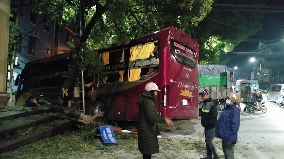 Chiếc xe khách bị đẩy vào vỉa hè, làm gãy cây xanh và cột biển báo giao thông