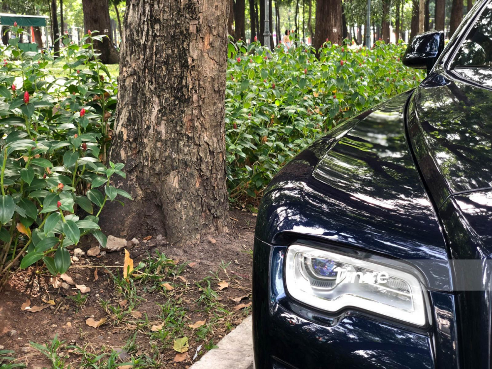 Xe có tốc độ tối đa 250 km/h