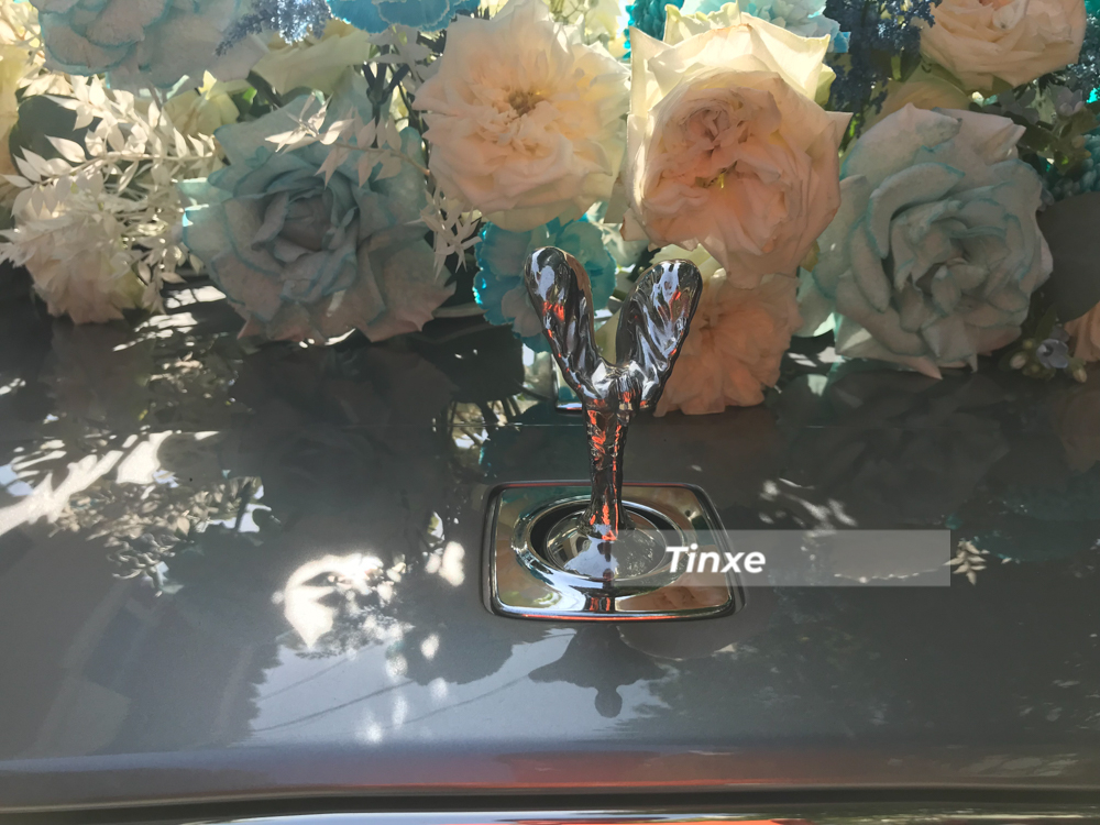 Logo thiếu phụ bay của Rolls-Royce Wraith c&oacute; thể tự động tụt xuống khi c&oacute; lực mạnh t&aacute;c động v&agrave;o