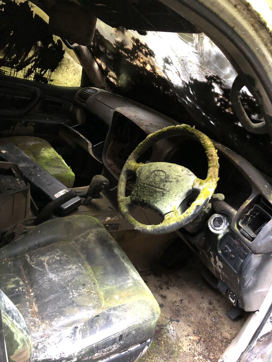 Nội thất bị phủ đầy rêu của chiếc Toyota Land Cruiser Cygnus Nội thất bị phủ đầy rêu của chiếc Toyota Land Cruiser Cygnus