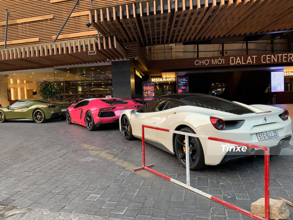 Siêu xe Lamborghini Aventador LP700-4 có gói độ Novitec mới được nữ chủ nhân thay áo màu hồng đậm vẫn sử dụng động cơ V12, dung tích 6,5 lít, sản sinh công suất tối đa 700 mã lực và mô-men xoắn cực đại 690 Nm. Trái tim này kết hợp cùng hộp số tự động 7 cấp ISR và hệ dẫn động 4 bánh, nhờ đó, siêu xe Lamborghini Aventador LP700-4 chỉ mất khoảng thời gian 2,9 giây để tăng tốc lên 100 km/h từ vị trí xuất phát trước khi đạt vận tốc tối đa 349 km/h.