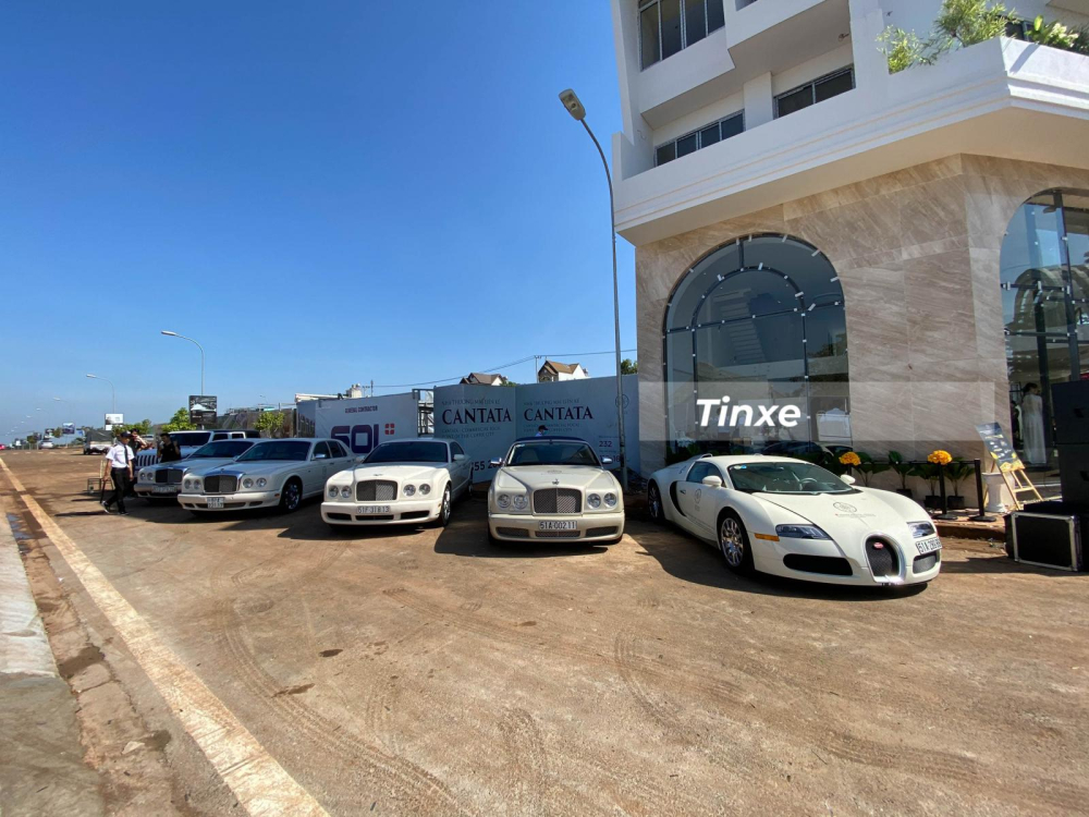 4 chiếc xe siêu sang Bentley đỗ cùng Bugatti Veyron