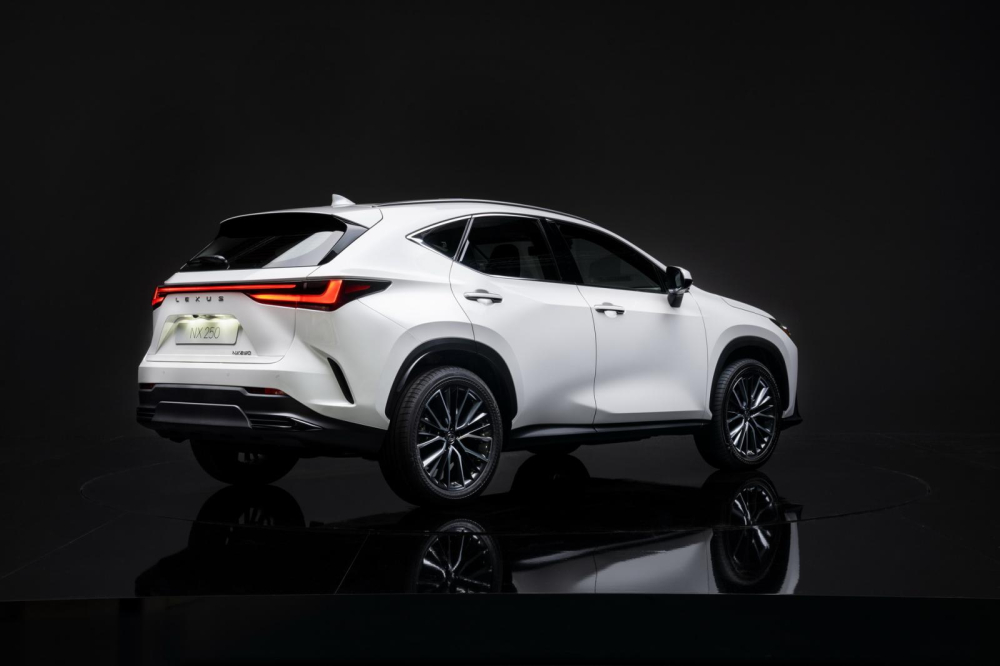 Lexus NX 250 2022