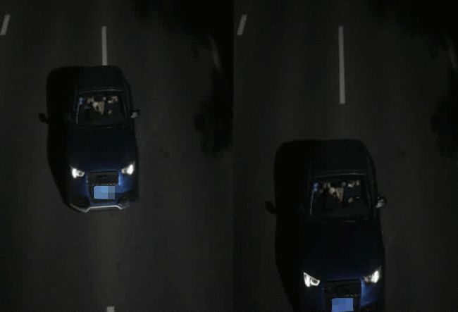 Anh Zhu và cô Lou lang thang trên đường để vi phạm giao thông bằng chiếc ô tô Audi