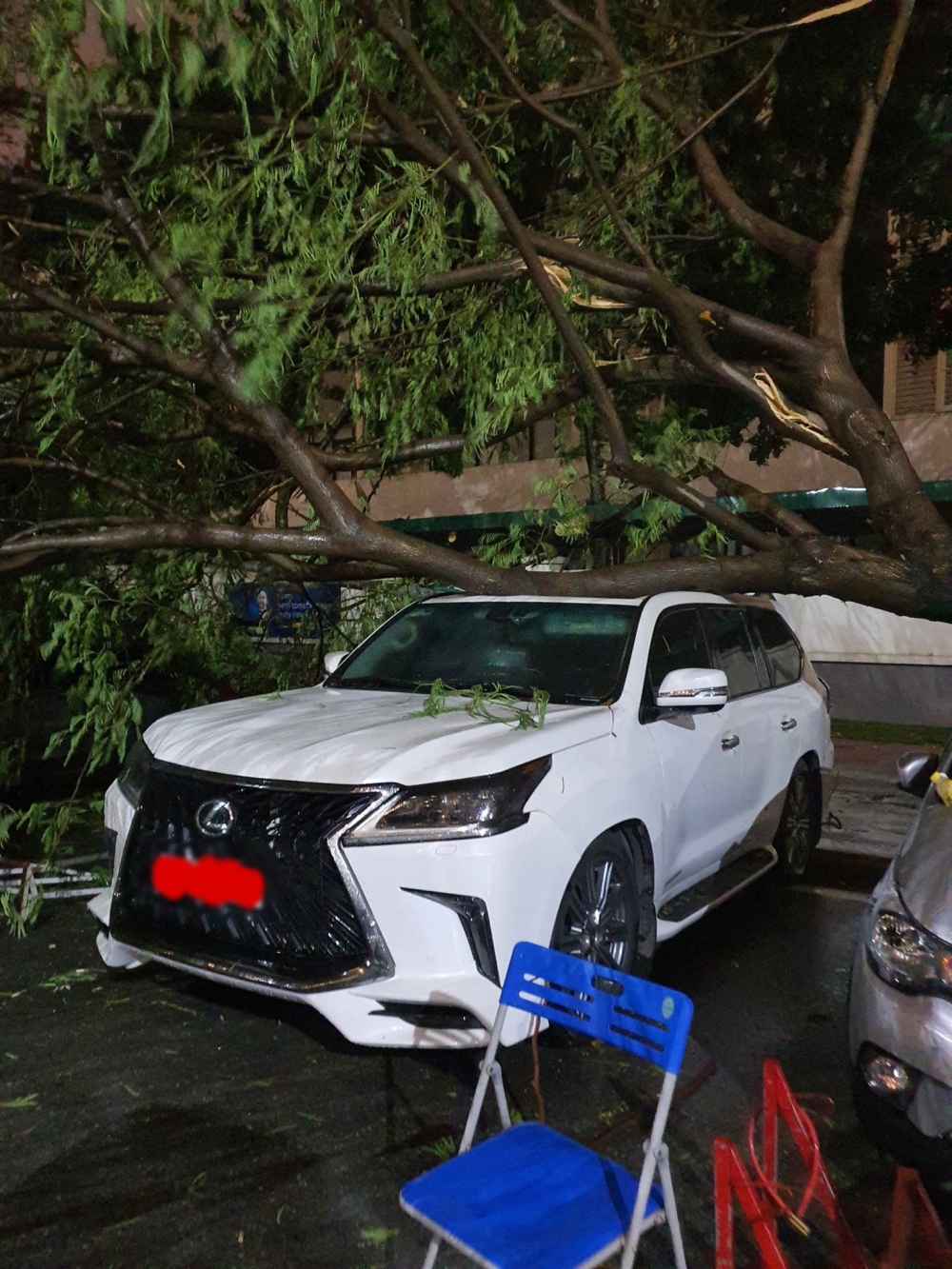 Bức ảnh này khiến người xem không khỏi xót của, một tán cây xanh đè trúng phần nóc của Lexus LX570