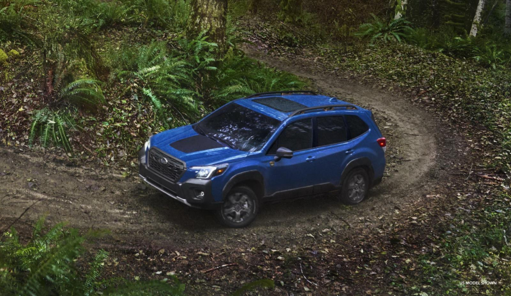 Tr&ecirc;n nắp ca-p&ocirc; của Subaru Forester Wilderness 2022 c&oacute; đề-can m&agrave;u đen để giảm l&oacute;a