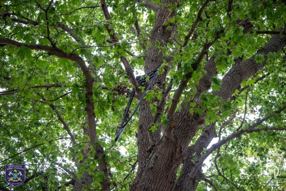 Một mảnh vỡ của chiếc Porsche 911 Carrera thậm chí còn văng lên cành cây Một mảnh vỡ của chiếc Porsche 911 Carrera thậm chí còn văng lên cành cây