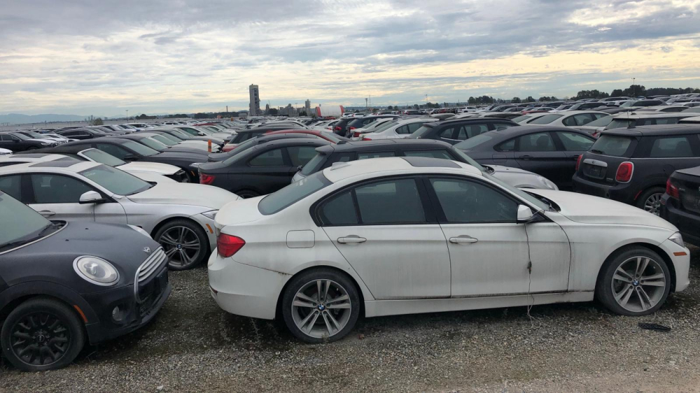 Những chiếc ô tô BMW và Mini này là nạn nhân của trận bão tuyết năm 2015