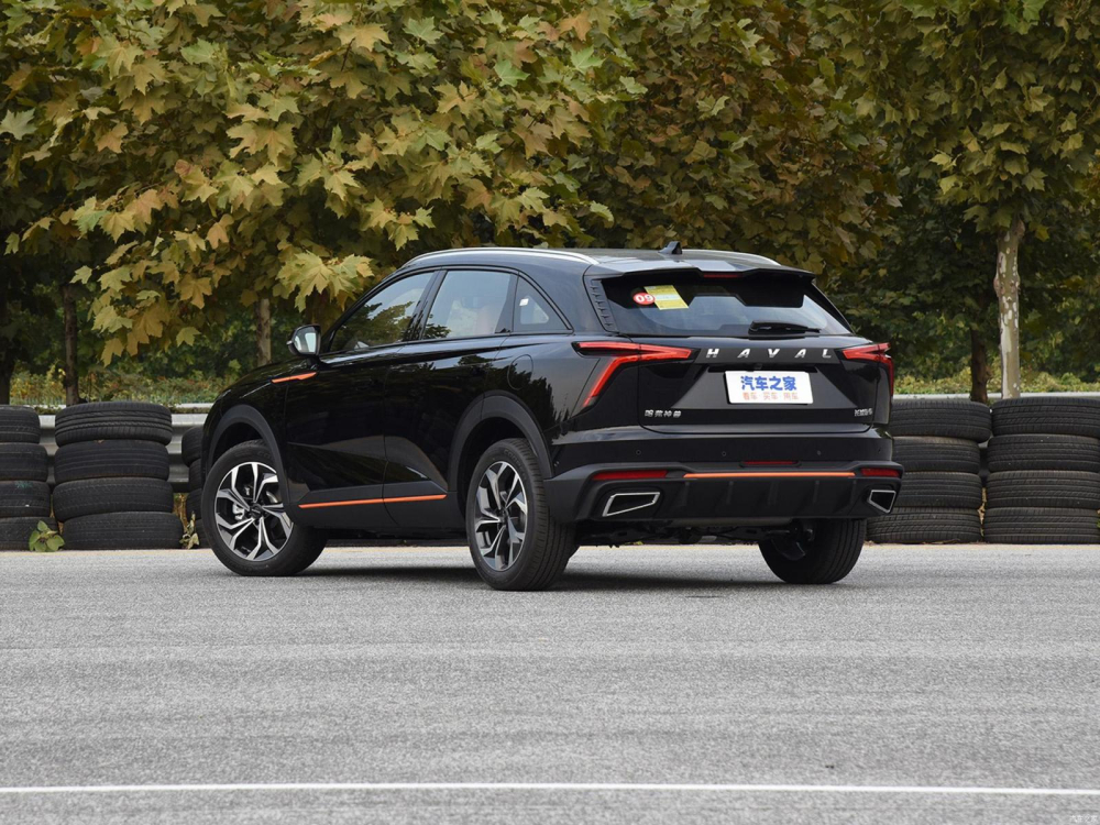 Ph&iacute;a sau của Haval Shenshou 2022
