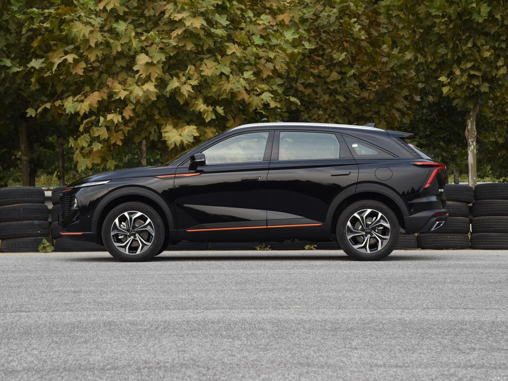 Ph&iacute;a b&ecirc;n của Haval Shenshou 2022