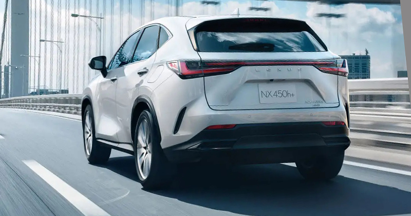 Thiết kế đằng sau của Lexus NX 2022