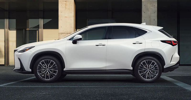 Lexus NX 2022 có kích thước lớn hơn trước nhưng lại nhẹ hơn