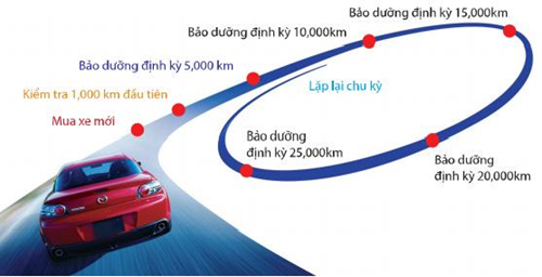bảo dưỡng CX 5 bảo dưỡng CX 5