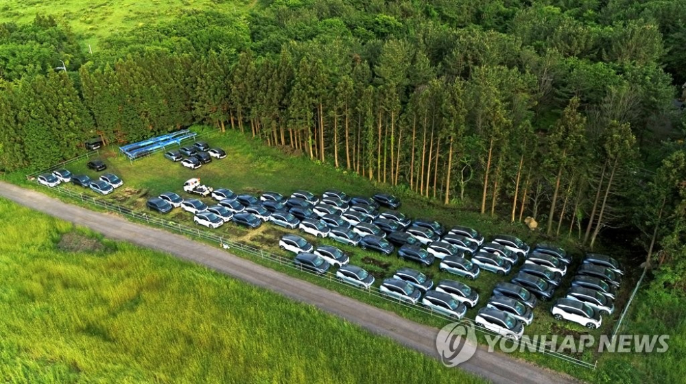 Nhiều chiếc BMW i3 đã bị hư hỏng sau một thời gian dầm sương, dãi nắng
