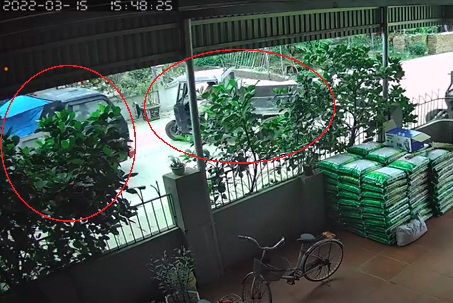 2 phương tiện có liên quan đến vụ tai nạn