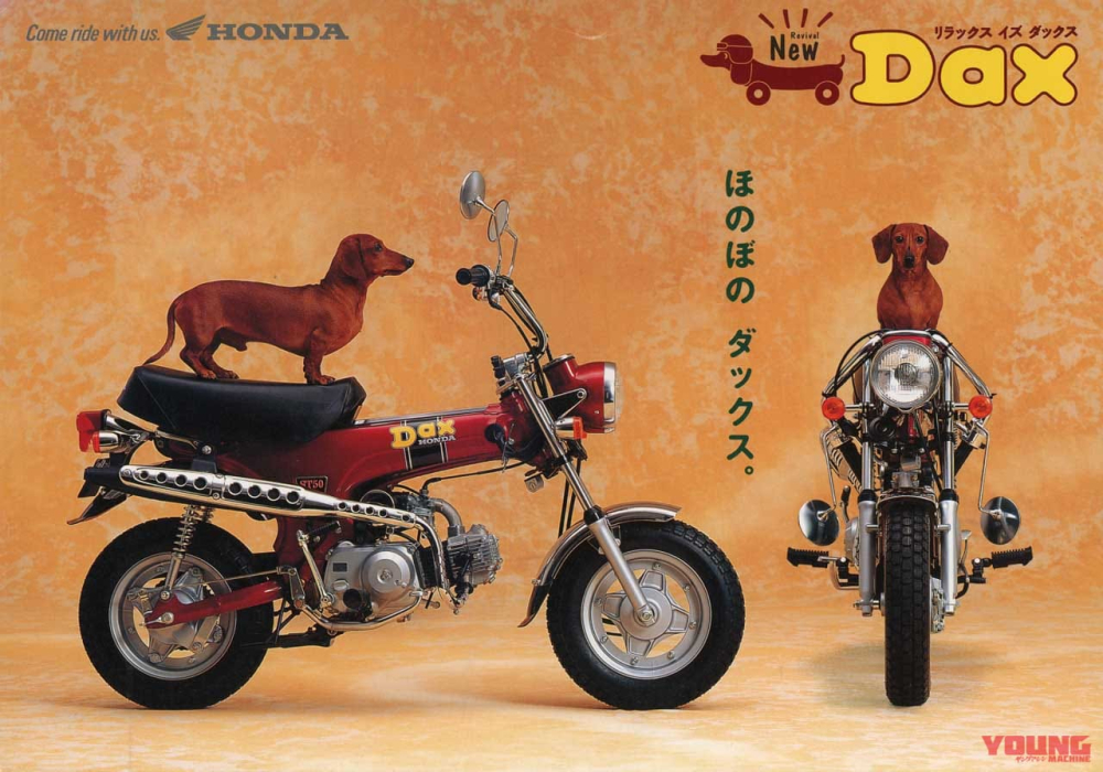 Honda ST125 Dax
