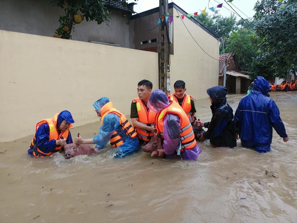 Các cán bộ, chiến sĩ giúp người dân sơ tán vật nuôi Các cán bộ, chiến sĩ giúp người dân sơ tán vật nuôi