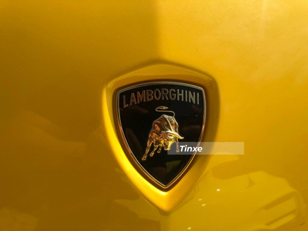 H&atilde;ng xe Lamborghini c&ograve;n tinh chỉnh lại khối động cơ V12, dung t&iacute;ch 6.5 l&iacute;t nhằm gi&uacute;p si&ecirc;u xe h&agrave;ng hiếm Aventador LP750-4 SV c&oacute; c&ocirc;ng suất tối đa 739 m&atilde; lực, cao hơn 50 m&atilde; lực so với bản Aventador LP700-4 nhưng m&ocirc;-men xoắn cực đại vẫn l&agrave; 690 Nm.