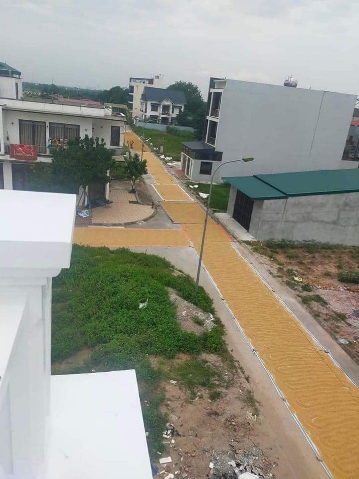 Th&oacute;c được phơi k&iacute;n mặt đường, kh&ocirc;ng c&ograve;n chỗ cho xe đi lại