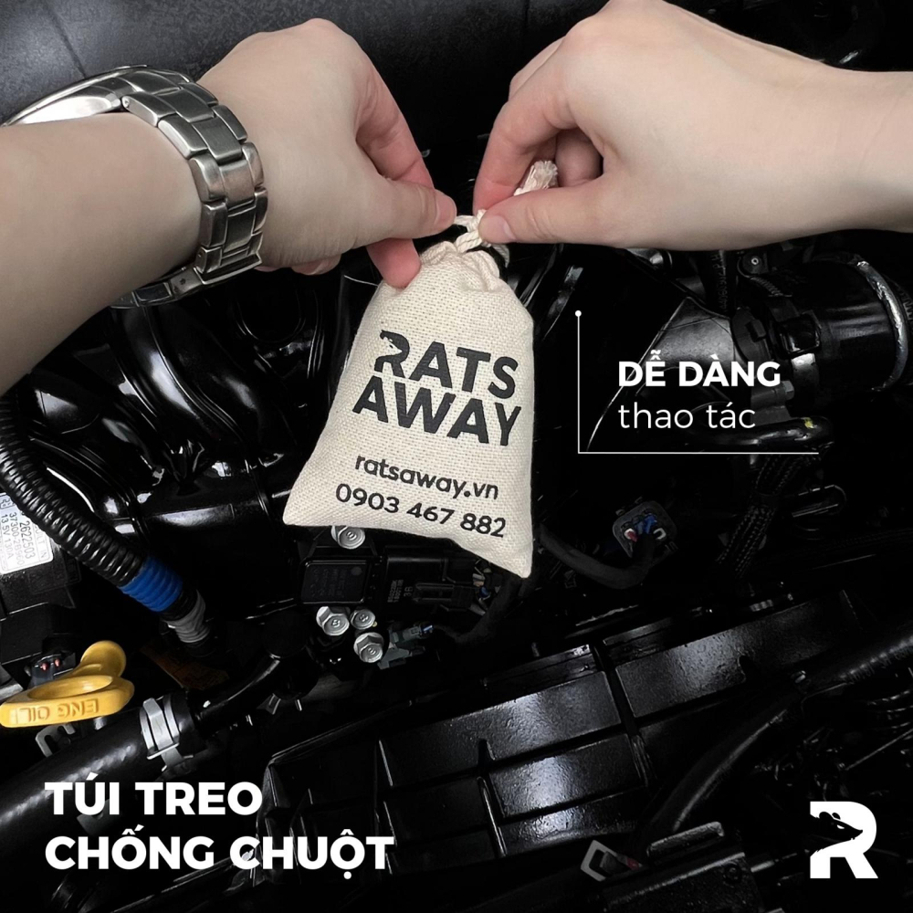 Rats away Rats away