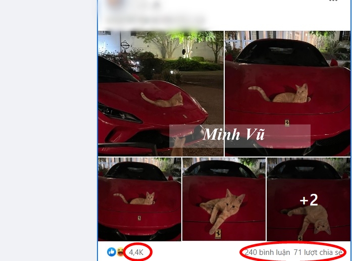 Bài đăng về Bài đăng về con sen nằm trên hốc gió S-Duct của siêu xe Ferrari F8 nhận tương tác khủng