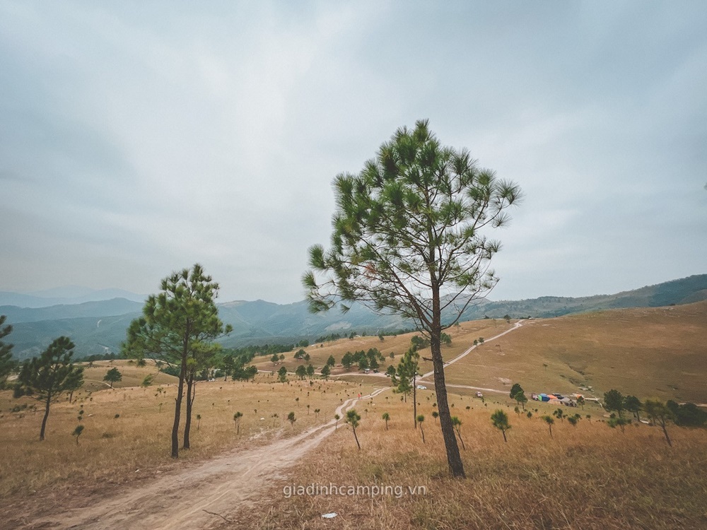 Tầm view cao nhất từ đỉnh n&uacute;i Phượng Ho&agrave;ng.