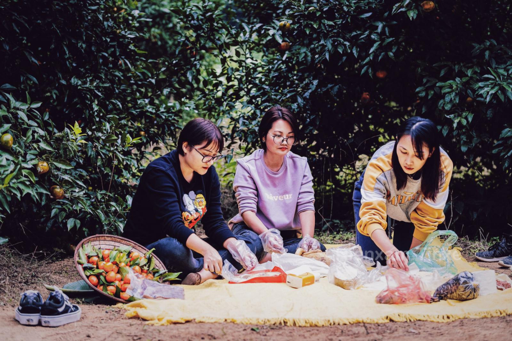 Trải nghiệm cắm trại nghỉ trưa ngay giữa thung lũng gần vườn quốc gia Cát Bà. Trải nghiệm cắm trại nghỉ trưa ngay giữa thung lũng gần vườn quốc gia Cát Bà.