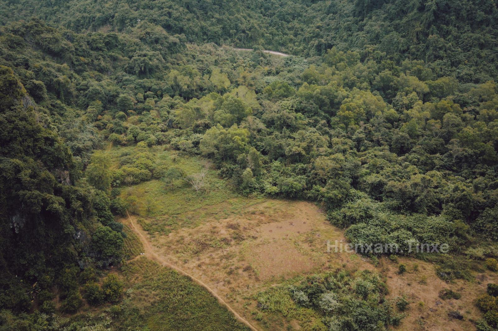 Một thung lũng trồng cam của đảo Cát Bà. Một thung lũng trồng cam của đảo Cát Bà.