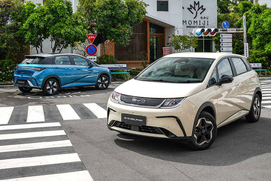 BYD Dolphin màu trắng kem và xanh dương + nóc xám BYD Dolphin màu trắng kem và xanh dương + nóc xám