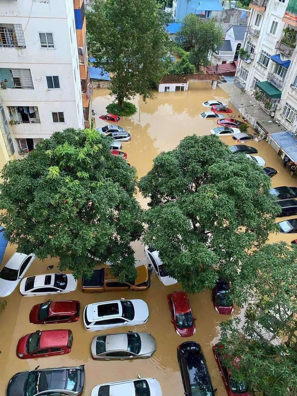 Những chiếc ô tô đỗ trong sân chung cư bị ngập