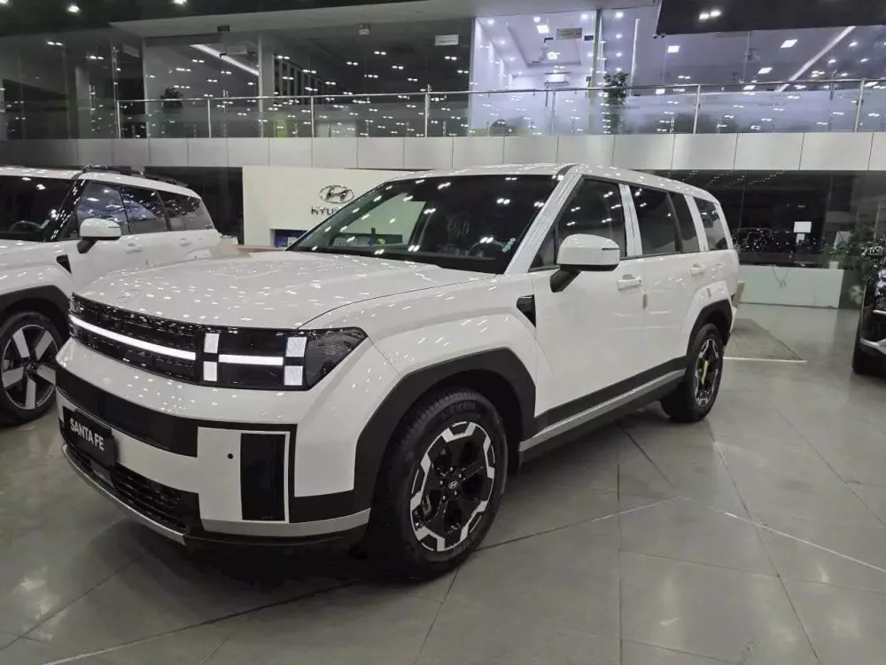 Thực hư vụ việc đại lý bán hi88. com Hyundai Santa Fe 2024 trên TikTok chỉ 855 triệu đồng- Ảnh 1.