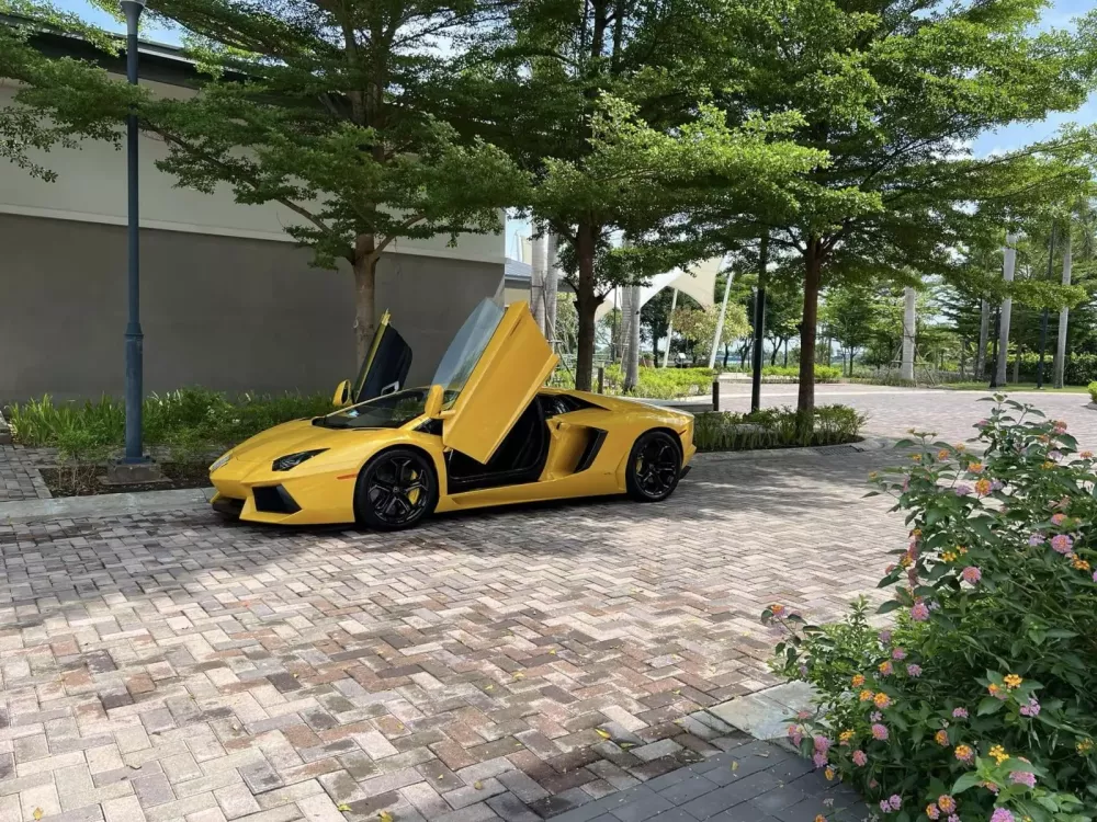 Lamborghini Aventador LP700-4 đầu tiên về Việt Nam giờ ra sao?- Ảnh 4.
