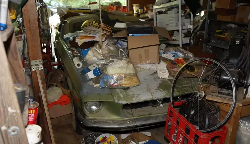 Ph&aacute;t hiện "rắn hổ mang" Shelby GT500 1967 bị bỏ qu&ecirc;n trong nh&agrave; kho hơn 38 năm- Ảnh 1.