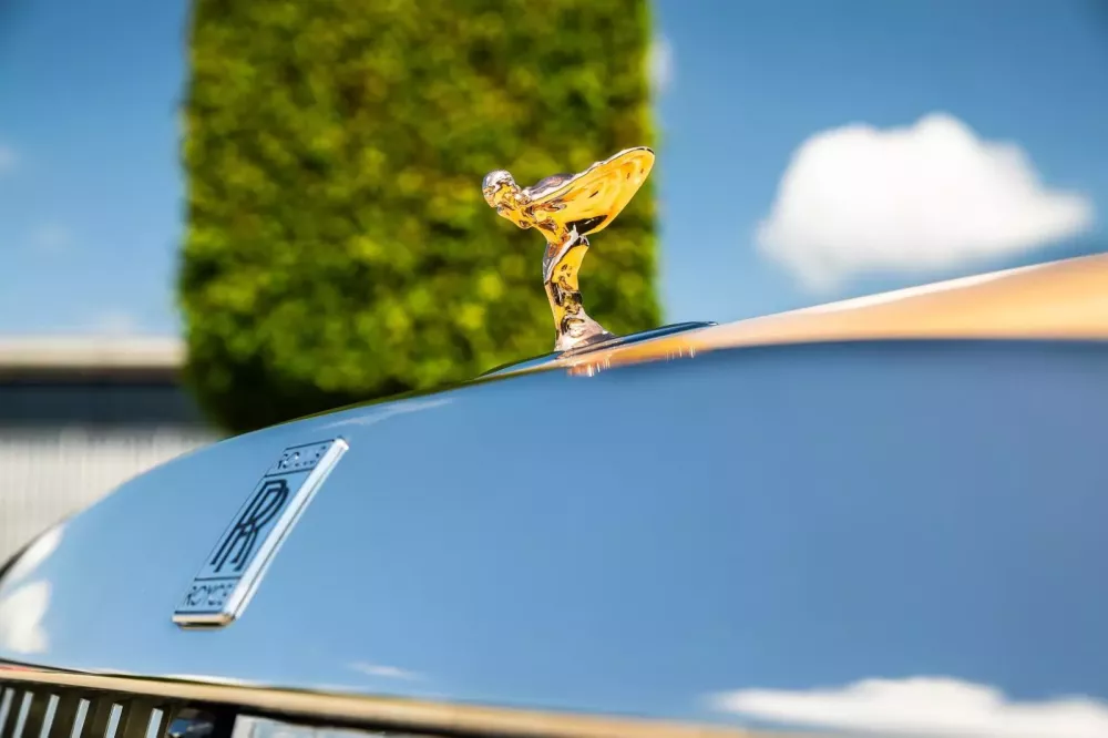 Rolls-Royce Spectre độc nhất vô nhị lấy ý tưởng từ thú cưng của 1 đại gia- Ảnh 5. Rolls-Royce Spectre độc nhất vô nhị lấy ý tưởng từ thú cưng của 1 đại gia- Ảnh 5.